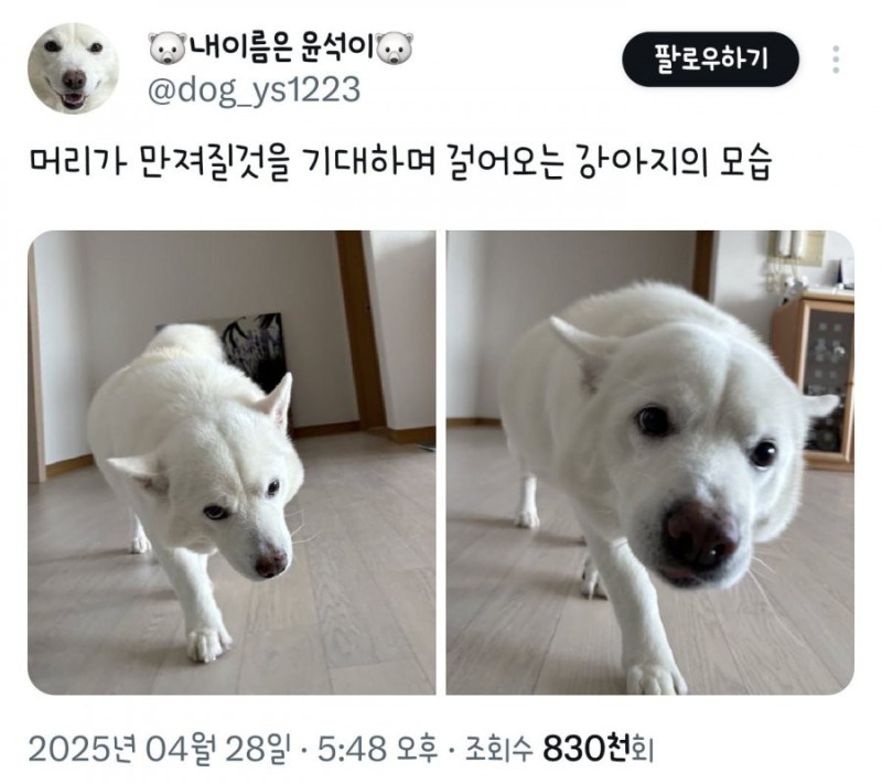 17508319462036.png