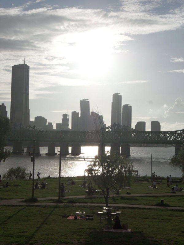 17533618319739.jpg