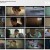 키스 식스센스 E05~E06화.2022.0608.1080P.H264-FOA