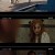 징크스의 연인.E01.220615.720p-NEXT.mp4