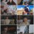 유미의 세포들2 E09-E10.2022.0708.1080P.H264-FOA