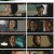 모범형사2.E15.220917.1080p.H264-F1RST