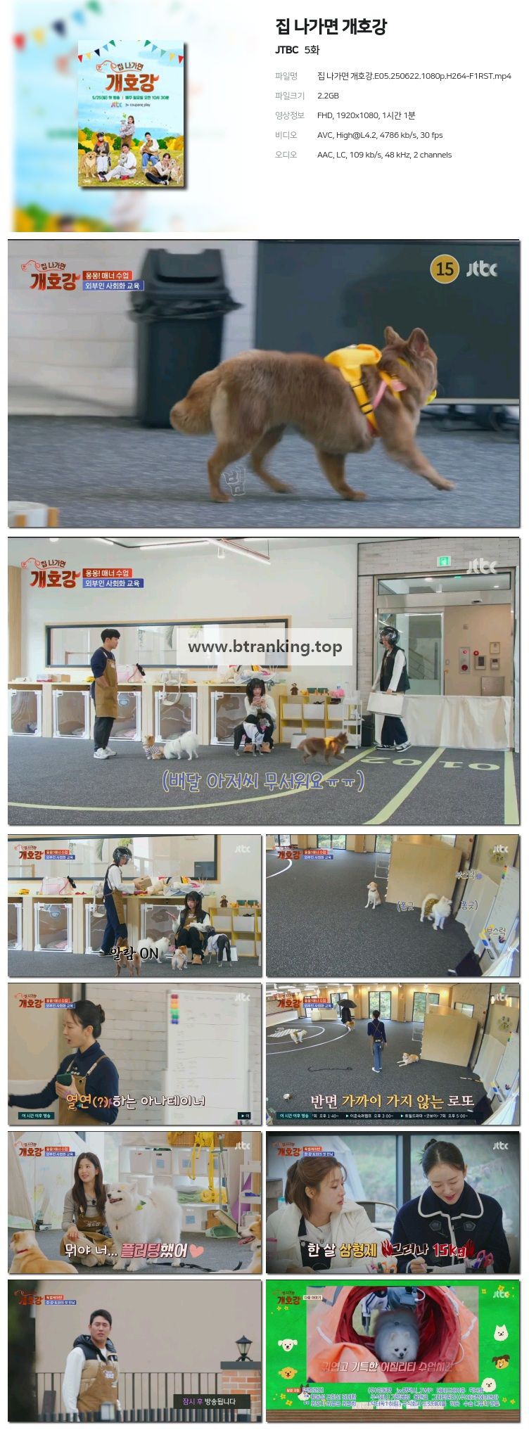 1750607523157.jpg