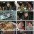 안싸우면 다행이야.E115.230320.1080p.H264-F1RST