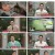 프리한19.E355.230320.1080p.H265-F1RST