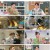 요즘 남자 라이프 - 신랑수업.E58.230405.1080p.H264-F1RST
