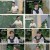 신들의 사생활 - 그리스 로마 신화 2.E01.230406.1080p.H264-F1RST
