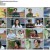 오은영의 금쪽 상담소.E76.230407.1080p.H264-F1RST