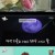 전지적 참견 시점.E322.241109.720p-NEXT