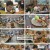 전현무계획2.E07.241122.1080p.H264-F1RST