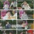 트랄랄라 유랑단.E08.241122.1080p.H264-F1RST