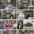 속풀이쇼 동치미.E627.241123.1080p.H264-F1RST