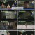 탐정들의영업비밀.E36.241125.1080p.H264-F1RST