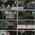 탐정들의영업비밀.E36.241125.1080p.H264-F1RST