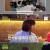 박원숙의 같이 삽시다 시즌3.E189.241128.720p-NEXT