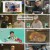 전지적 참견 시점.E324.241130.1080p.H264-F1RST