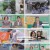 고딩엄빠5.E24.241204.1080p.H264-F1RST