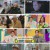 와 진짜 세상에 이런일이.E08.241205.1080p.H264-F1RST