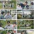 핀란드 셋방살이.E02.241213.1080p.H264-F1RST