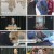 TV 동물농장.E1201.241215.1080p.H264-F1RST
