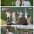 한일톱텐쇼.E56.250708.1080p-F1RST