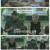 두유노집밥.E01.250709.1080p-F1RST
