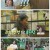 나 혼자 산다.E604.250711.1080p-F1RST