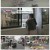TV 동물농장.E1230.250713.1080p-F1RST