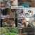 구해줘 홈즈.E307.250717.1080p-NEXT