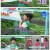 요즘 육아 금쪽같은 내 새끼.E245.250718.1080p-F1RST