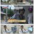 TV 동물농장.E1231.250720.1080p-F1RST