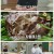 알토란.E550.250720.1080p-F1RST